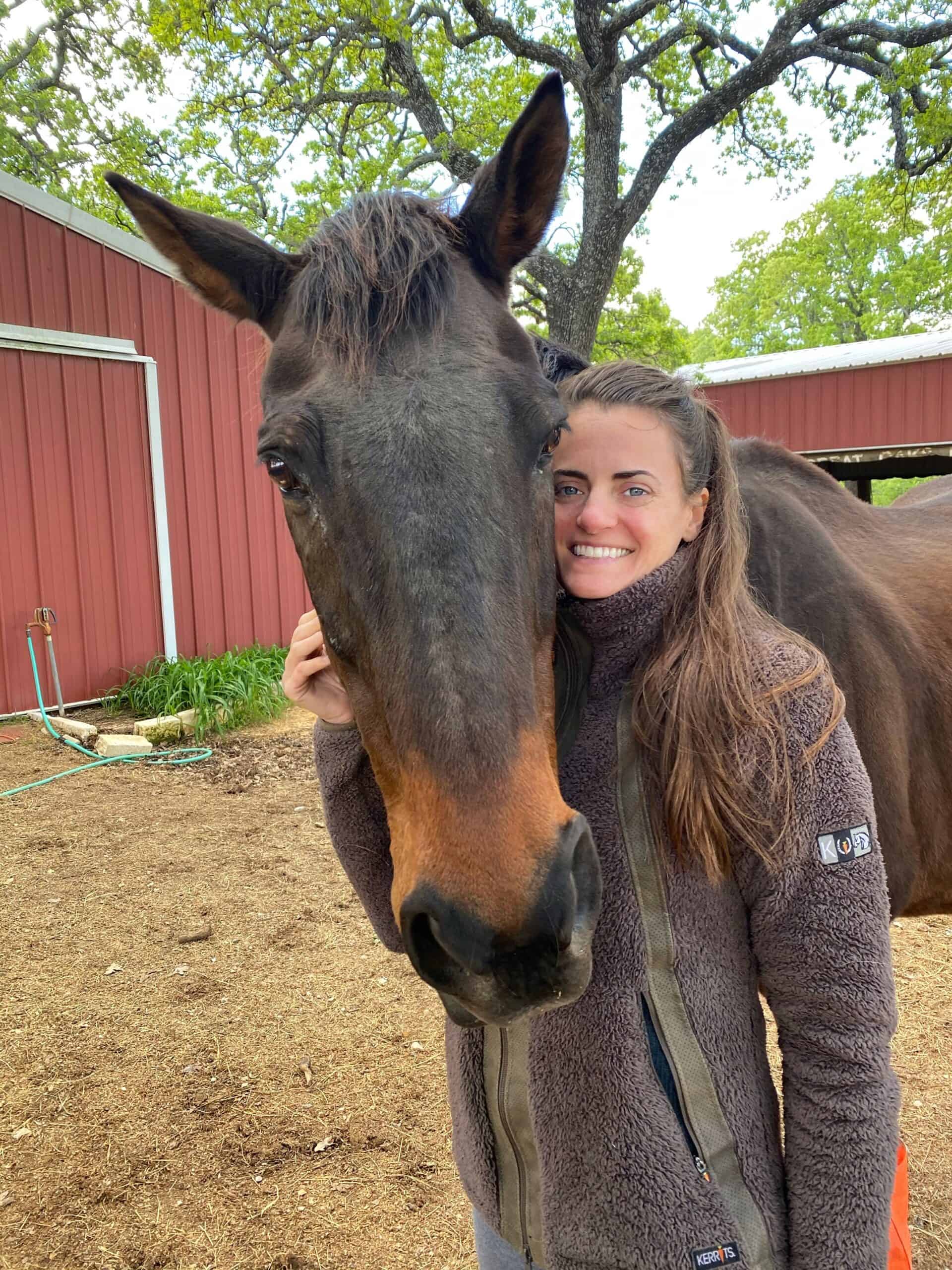 Horse 1